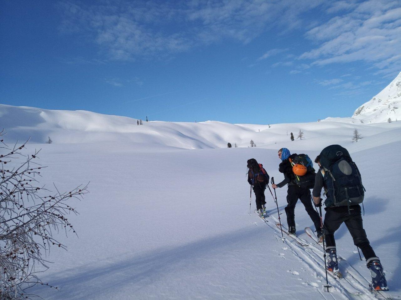 Snowkiting-Splitalpy-Puhringer-Hutte-konec-lesa.jpg
